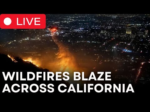 LIVE | California Wildfire: 16 Dead | 37,000 Acres Land Impacted | Los Angeles Fires | CLRCUT