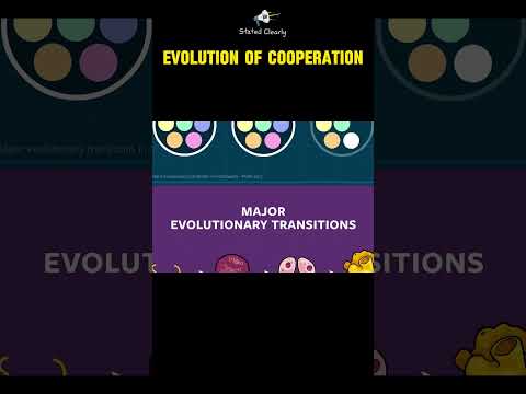 Evolution of cooperation!