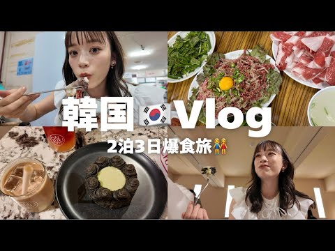 【韓国Vlog🇰🇷】2泊3日の爆食旅👭全部美味しすぎて韓国に住みたくなった🥹