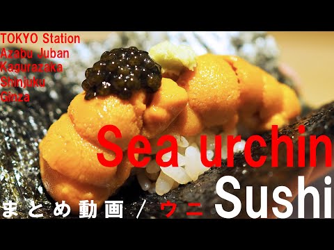 【寿司】おいしかった“ウニ”のお寿司、まとめてみました/Five delicious sea urchin sushi.【sushi/sea urchin/japanese cuisine】