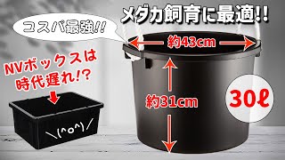 メダカ屋外飼育（ビオトープ作成）に超絶お勧めの大容量「万能容器」｜コスパ最強or暑さ対策が簡単などメリット多数！