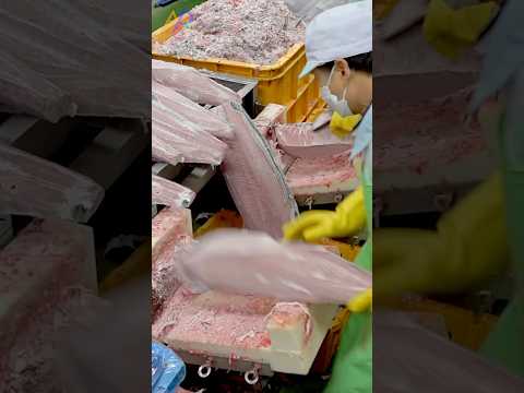 20 Tons of Tuna Mass Production Process