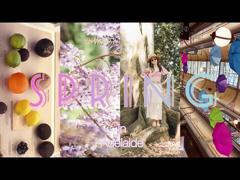 Spring in Adelaide【4k】 Vlog｜Adelaide Botanic Garden, Wisteria & Museum｜David Jonse｜阿德萊德｜植物園｜撈汁小海鮮