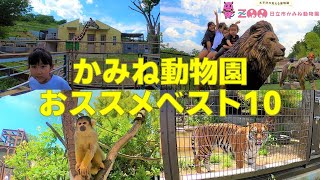 かみね動物園 おススメベスト10！【茨城県日立市】