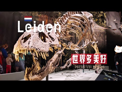 出去玩45-在萊頓生物多樣性中心尋找人生真諦？ Naturalis Biodiversity Center | 荷蘭旅遊 | 胖仔的荷蘭日記 Pangzai's diary 20230731