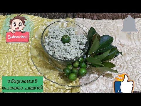 നാടൻ സ്ട്രോബെറി പേരക്കാ.. ചമ്മന്തി(Strawberry Perakka Chummanthi)തയ്യാറാക്കാം||Malayalam