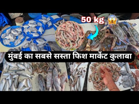 Colaba Sassoon Dock Fish Market / Colaba Wholesale Fish Market / सस्ता फिश मार्केट / Hrutik Kadam