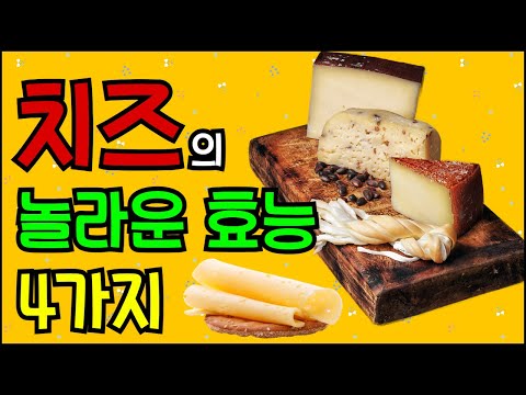 치츠의 놀라운 효능 4가지 & 부작용  알고 먹으면 좋아요!