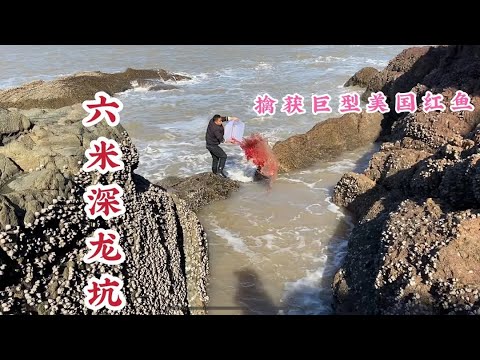 【阿向趕海】無人島兩人高的6公尺深坑 擒獲巨紅魚居然遇見鯊魚 大賣750