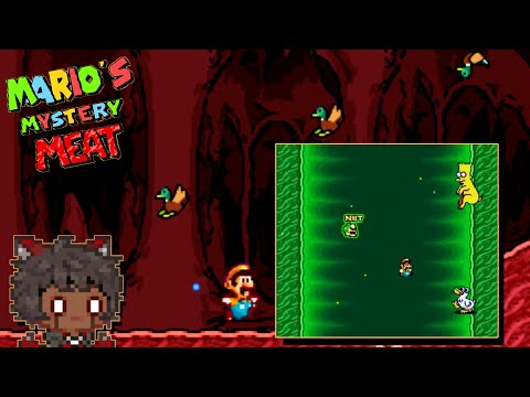 Some Crazy Trip, What The Heck! - Mario's Mystery Meat Ep.1