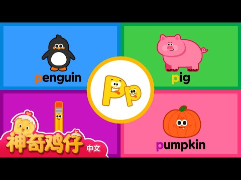 自然拼讀法 P! I~P | 神奇鸡仔与英语 | 卡通動畫 | Como Kids TV