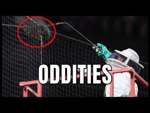 MLB | Oddities | Part 7