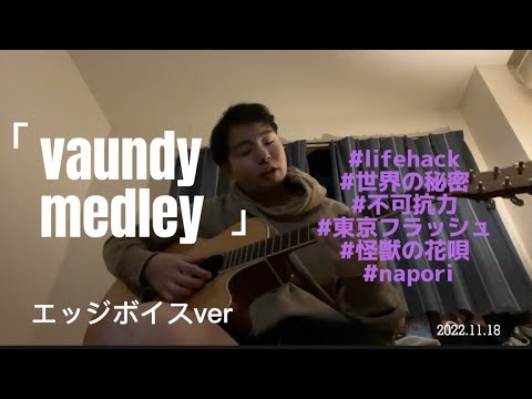 【vaundyメドレー】エッジボイス使って弾き語ってみた