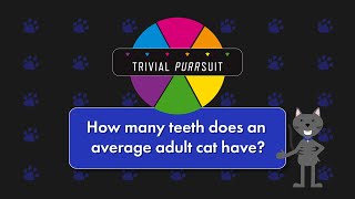 Trivial Purrsuit - Cat Teeth Quantity