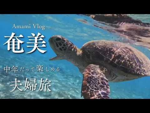 絶対行くべき旅行④【奄美大島】１０月の海／鶏飯ひさ倉／シュノーケリングでウミガメと泳ぐ／お土産購入お得情報／Enjoy the ocean of this World Heritage Site