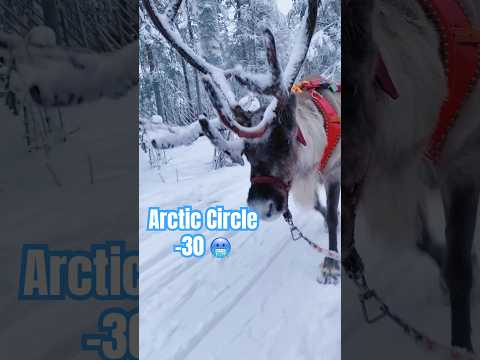 Would you live here?😱Life in the  arctic circle 🥶 #finland #finlandtravel #arcticcircle