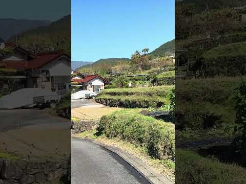 Walking in Japan Countryside Village #shorts #japanwalk #japan #nature