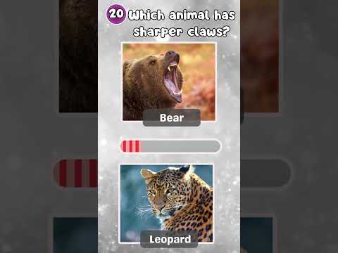 "How Good Is Your Knowledge of Animals? 🐾 Test Yourself Now!"|The Quiz Show