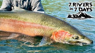 Fishing 7 Rivers In 7 Days - STEELHEAD EDITION - 7 Day Challenge Official Movie Season 2