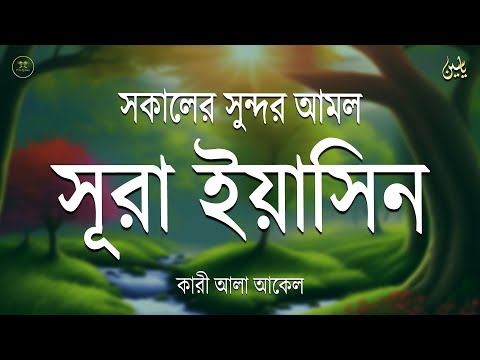 সকালে আমলের জন্য শ্রেষ্ঠ তেলাওয়াত সুরা ইয়াসিন | Surah Yaseen | amol | سوره يس Record by Alaa Aqel