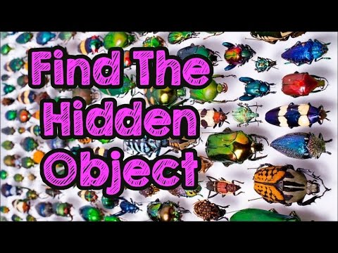 Can You Find The Object Hidden In Plain Sight?