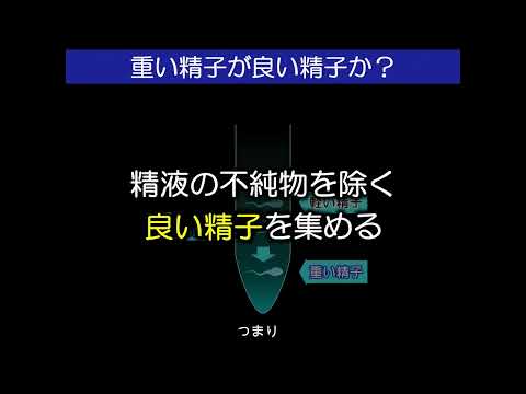 ☆保険利用精子検査の説明v2a