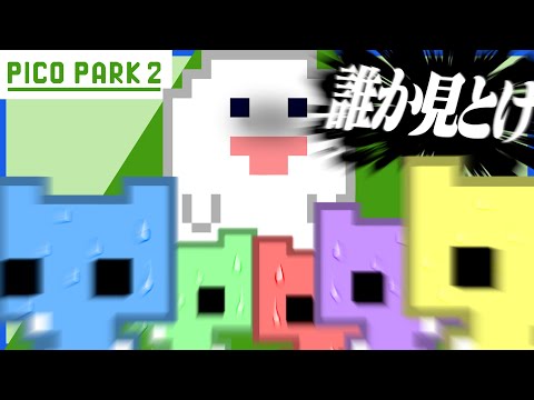 連携がとれない行動ばっかりで喧嘩になるらっだぁ運営【PICO PARK 2】