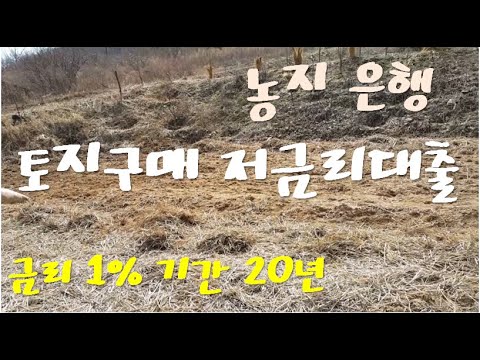 농지은행 토지구매대출에 대해 알아보겠습니다 (금리1%, 기간 20년)