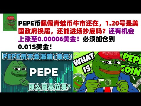 PEPE币佩佩青蛙币牛市还在，1.20号是美国政府换届，还能进场抄底吗？还有机会上涨至0.00006美金！必须加仓到0.01$美金！#PEPE币#meme币#佩佩币行情分析