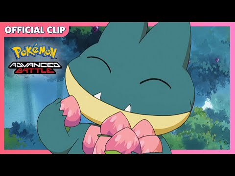 Munchlax Extreme Speed Eating | Pokémon: Advanced Battle | Official Clip