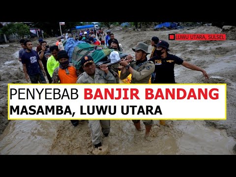 Penyebab Banjir Bandang Masamba, Luwu Utara