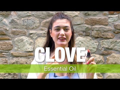 Clove Essential Oil Benefits Explained by Essential Oils Specialist | National Nutrition