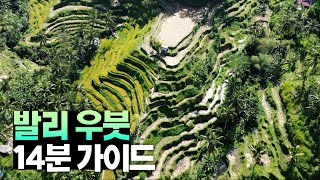 🇮🇩 정글, 화산, 폭포 다이나믹 그 잡채 - 발리 우붓 가이드 【발리 2편】