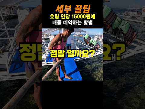 배를 하루 통째로 빌리는데 인당 15000원이라고?  #세계여행 #앙그리투어 #호핑투어 #세부여행