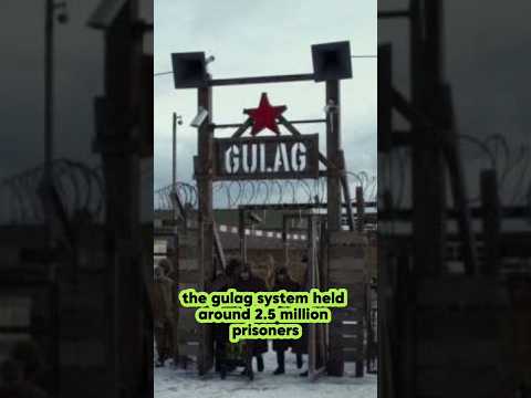 Did You Know? The Massive Scale of Stalin's Gulag System