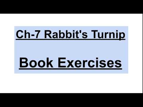 Ch-7|Rabbit's turnip|Book exercises