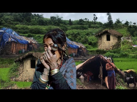 This is Himalayan Most Peaceful Nepali Village Life in Rainy | Daily Activities Of Nepal.