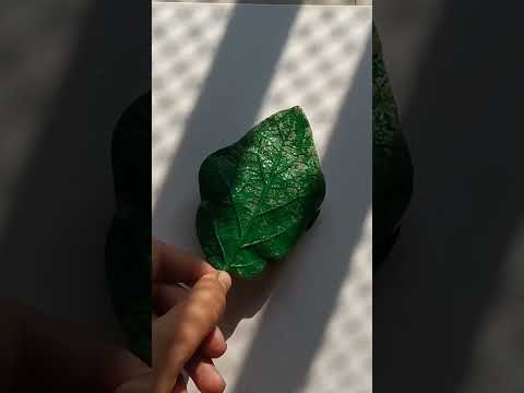 Leaf Printing Art #leaf #painting #art #paintingideas #shorts #shortvideo #viralvideo #artmystery