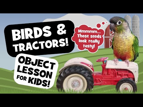 Birds & Tractors! | Object Lesson about Worry