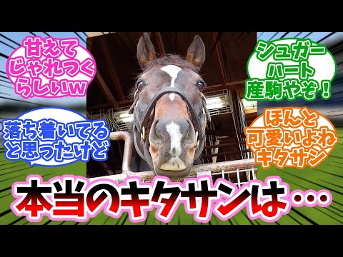 キタサンブラックって落ち着いてるイメージだったけどに対するみんなの反応集【競馬】