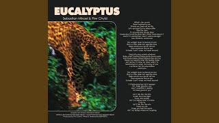 Eucalyptus