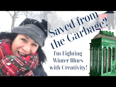 Fighting the Winter Blues! | I SAVED THIS BIRDCAGE FROM THE TRASH!