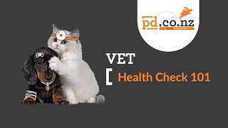 Vet Health Check 101: Dr Cath Watson Explains What to Expect for Pets