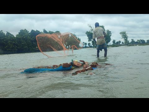 সাব্বাস বন্যার পানিতে দাদুর মাছ ধরা সেই ছিল | Amazing cast net fishing | rainy day fishing