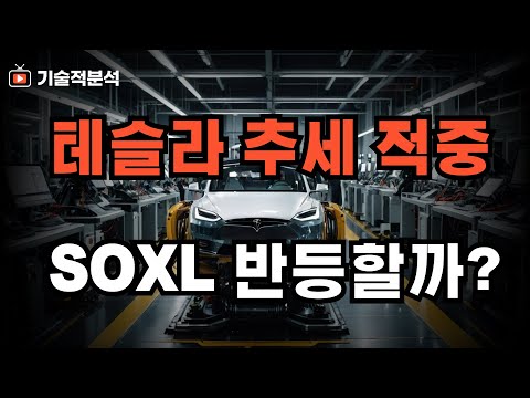 테슬라 상승 추세 여전히 강합니다! ｜SOXL 반도체 섹터 반등일까?