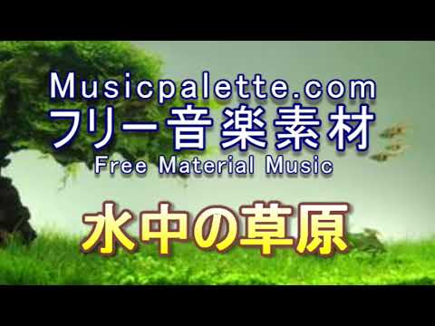 フリー音楽素材（使用料無料）「水中の草原」Musicpalette