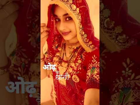 Rajsthani jaatni👑#rajasthaniculture #status #ytshorts #trending #viral #shorts #jaatni #jaatniswag