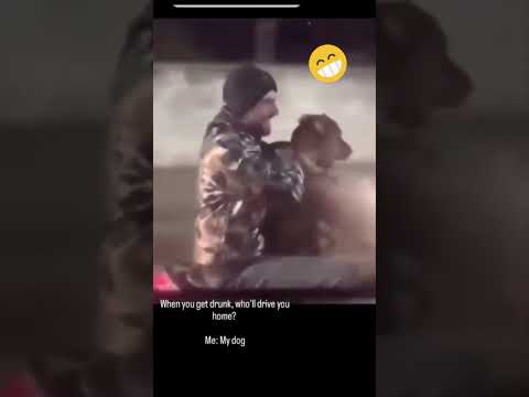 #memes #funnyvideo