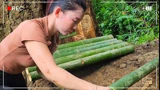 Heavy rain is coming. I make shelter in a tree hole. overnight #WildSurvival #Rapid growth plan