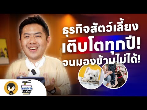 ธุรกิจสัตว์เลี้ยง เติบโตทุกปี จนมองข้ามไม่ได้ | การตลาดกึ่งสำเร็จรูป EP.29